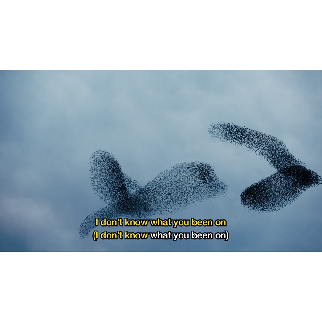 13. REBORN LYRIC VIDEO