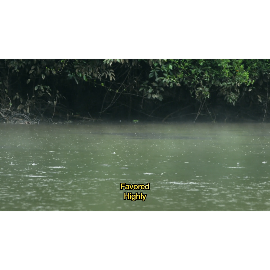 8. FAVOR LYRIC VIDEO